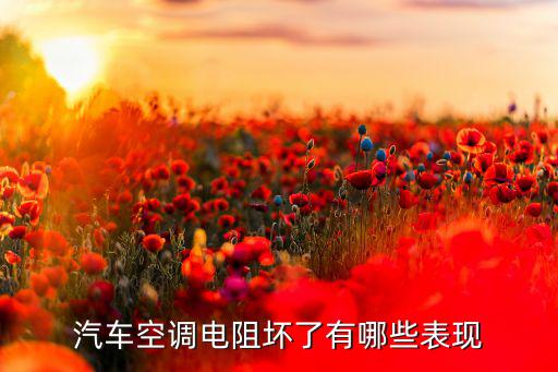 汽车电阻什么样,汽车空调电阻坏了什么?