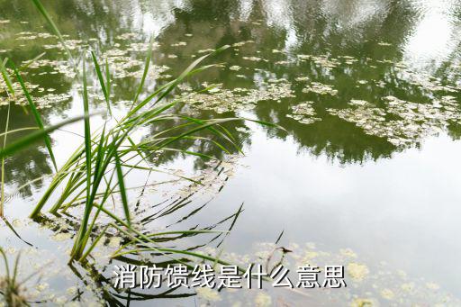 消防馈线是什么意思