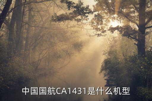 ca1393什么机型,从北京到长沙飞机有哪些机型?