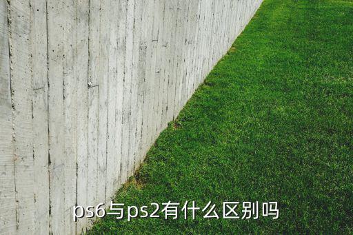 材料ps6是什么,武汉火神山医院抢救箱藏尸案
