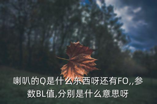 喇叭的Q是什么东西呀还有FO,,参数BL值,分别是什么意思呀