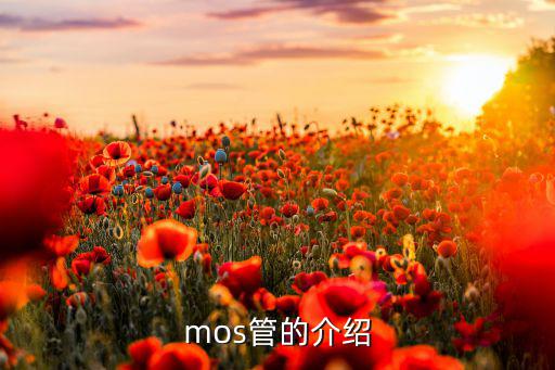 mos管的介绍