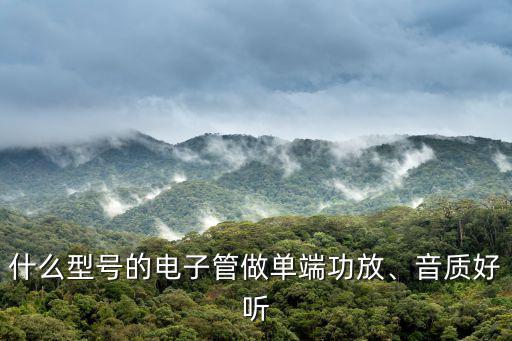 什么型号的电子管做单端功放、音质好听