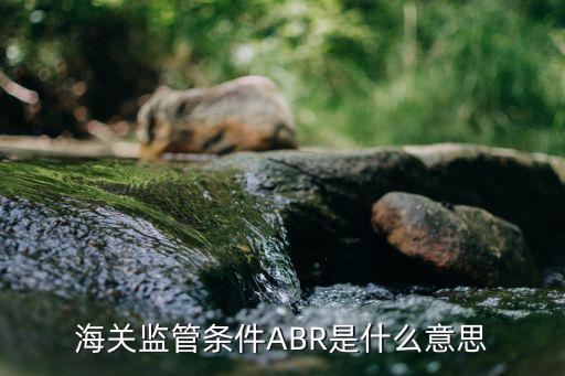 海关监管条件ABR是什么意思