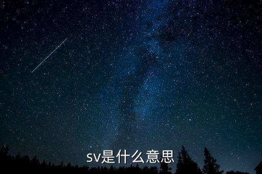 sv是什么意思