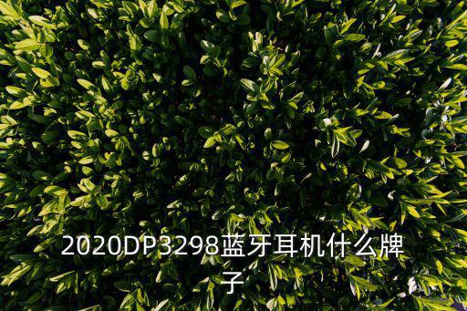 2020DP3298蓝牙耳机什么牌子