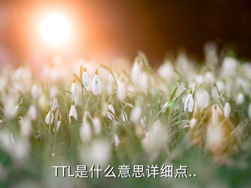 TTL是什么意思详细点..