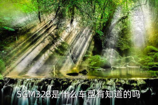 sgm358ys有什么作用,想要sav很简单!