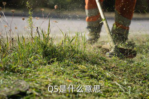 电子元器件后缀QS是什么意思,qs标志是什么?