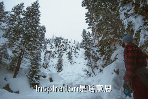 lnsplratlon是啥意思