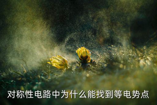 什么是电路对称性,利用对称性可找出电路相等的点