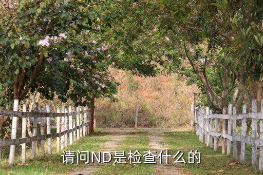 请问ND是检查什么的