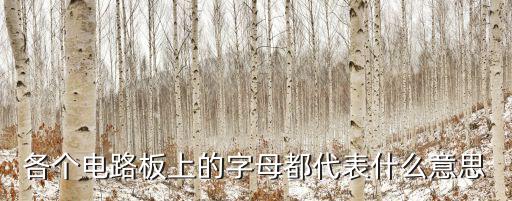 xv在电路中表示什么,芯片和器件名称代表着什么意思?