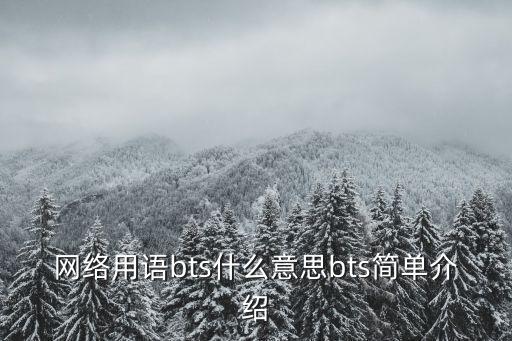 网络用语bts什么意思bts简单介绍