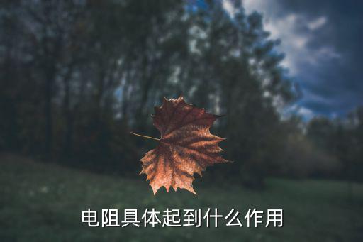 电阻具体起到什么作用