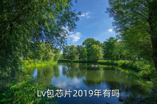 Lv包芯片2019年有吗