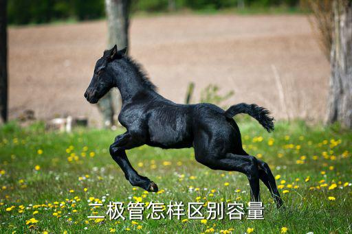 二极管容量单位是什么意思,怎么区别两极管的容量?看这里!