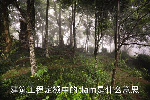 建筑工程定额中的dam是什么意思