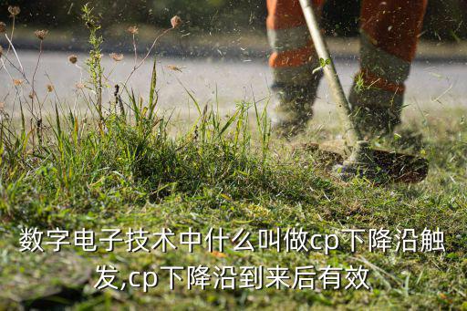 cp在电路中什么意思,ti-scb-100是什么意思