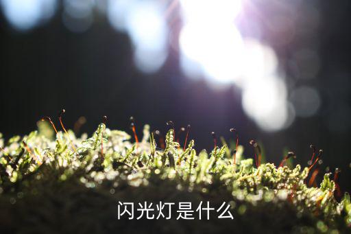 闪光灯是什么