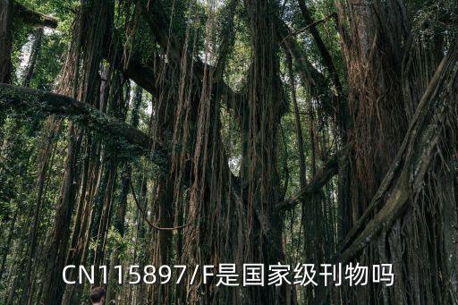 CN115897/F是国家级刊物吗