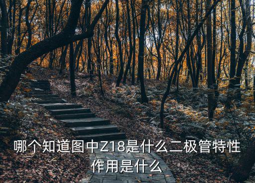哪个知道图中Z18是什么二极管特性作用是什么