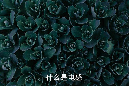 什么叫电感器,电感器有什么用?