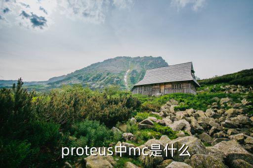 proteus中mc是什么