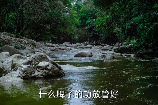 什么牌子的功放管好