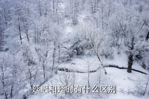 延迟和延时有什么区别