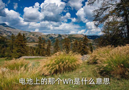 电池上的那个Wh是什么意思