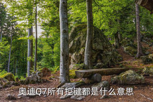 q7 4l 4r是什么意思,奥迪a3l的a代表了什么?