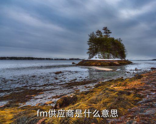fm供应商是什么意思