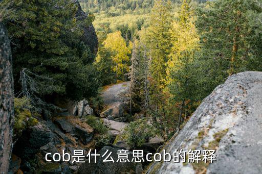 cob是什么意思cob的解释
