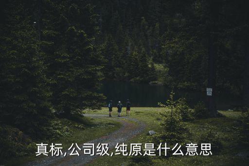 真标,公司级,纯原是什么意思