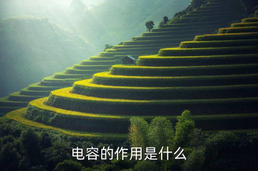 微电容是什么原因引起的,为什么微分电容曲线驼峰会出现?