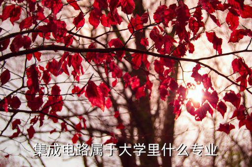 集成电路属于什么电路,集成电路设计与集成系统专业