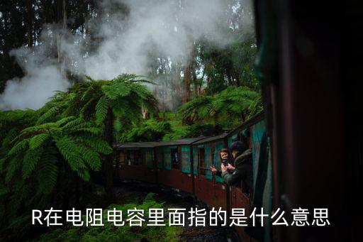 R在电阻电容里面指的是什么意思