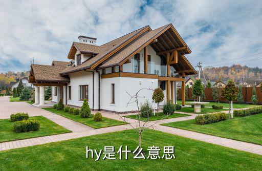 电路中hy是什么,电路板中的字母代表什么意思?