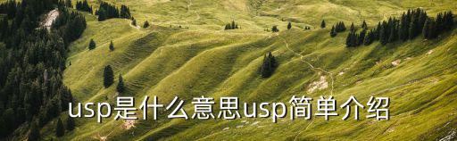 usp是什么意思usp简单介绍