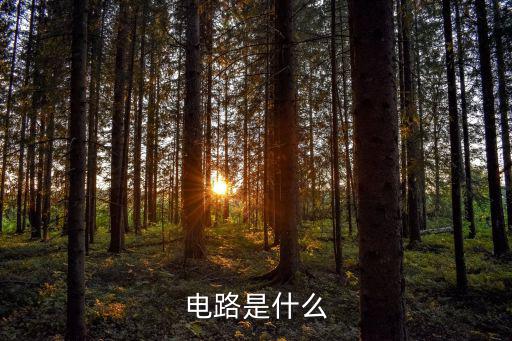 电路是什么