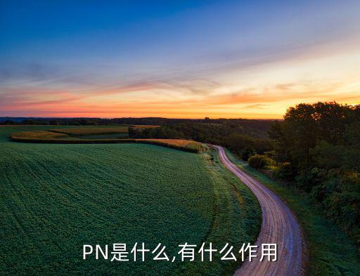 PN是什么,有什么作用