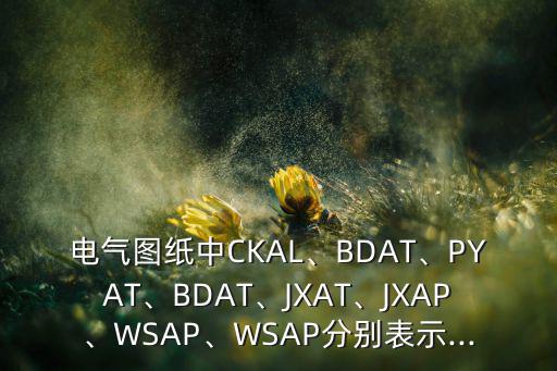 电气图at-xfsb是什么意思,al和wsap代表着什么?