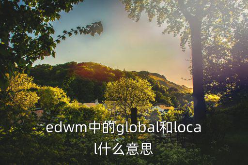 edwm中的global和local什么意思