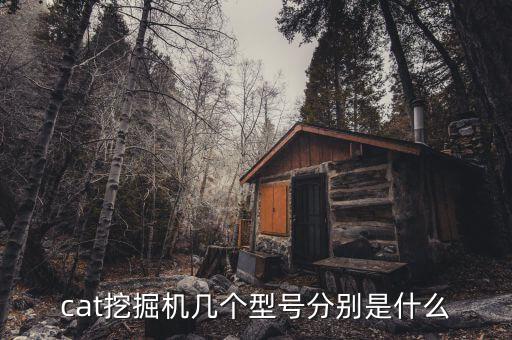 cat4238是什么,采纳挖掘机型号表示一下!