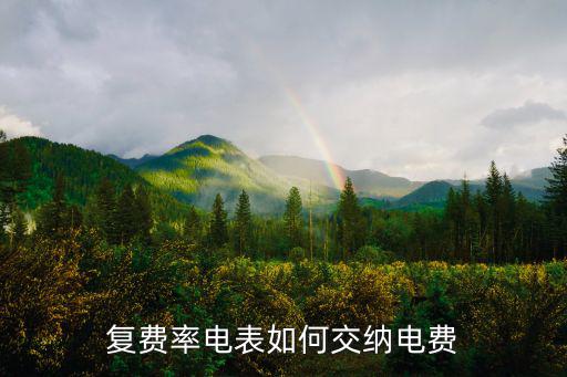 为什么用复费率电表,多费率电能表怎么算?