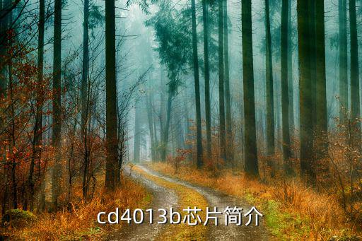 cd4013是什么触发器,四颗芯片组成//2分频电路