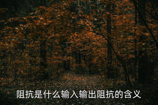 阻抗是什么输入输出阻抗的含义