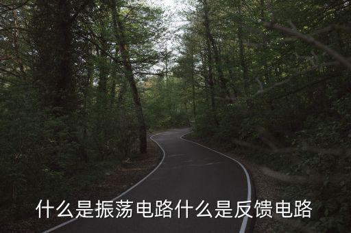 什么是振荡电路什么是反馈电路