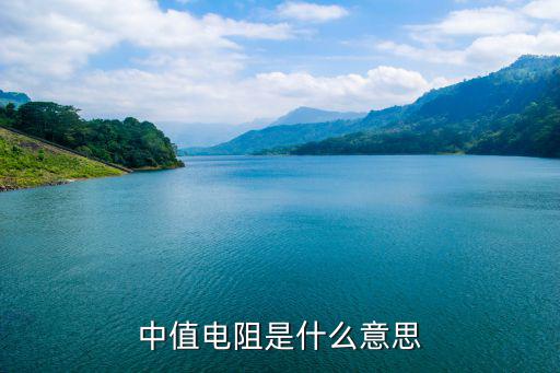 电阻 什么意思,什么是电阻?